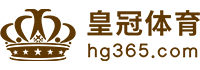 Logo 顶盛